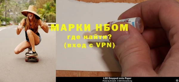 шишки Тавда