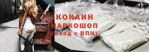 ГАЛЛЮЦИНОГЕННЫЕ ГРИБЫ Сясьстрой