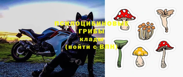 мяу мяу кристалл Тайга